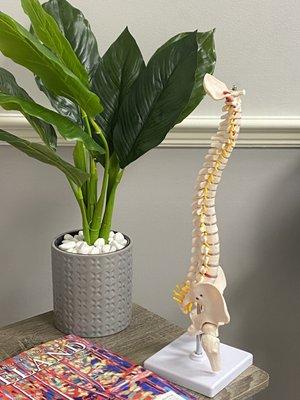 Rohr Family Chiropractic and Wellness