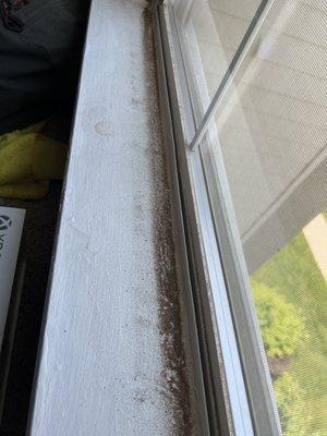 Window seals. If it can't keep dirt out, it's definitely not keeping your heat in!