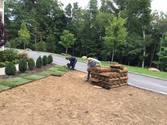 Sod installation