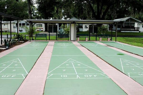 Shuffleboard