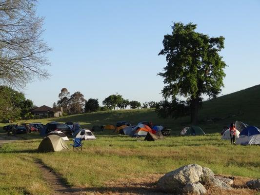 Our tent city near Pleasanton Ridge