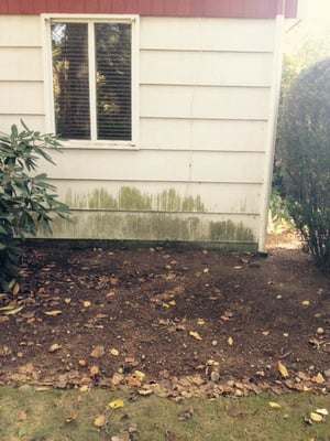 Side of house BEFORE power washing.