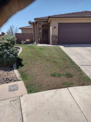 Before and after of thatch removal and re-seeding