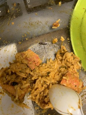 Here is the cockroach in my food.