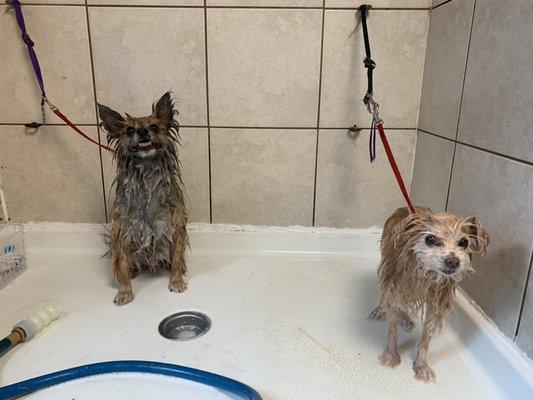 Sharing some bubbles with his brother!