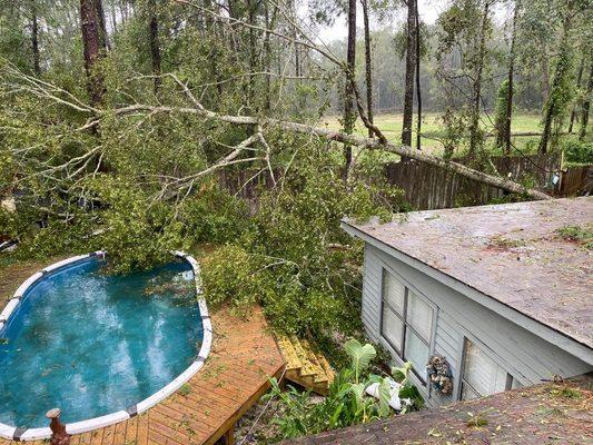 80' oak tree, up rooted and covered the entire back yard taking everything out in its path. nothing but removal of the tree at 500$ covered.