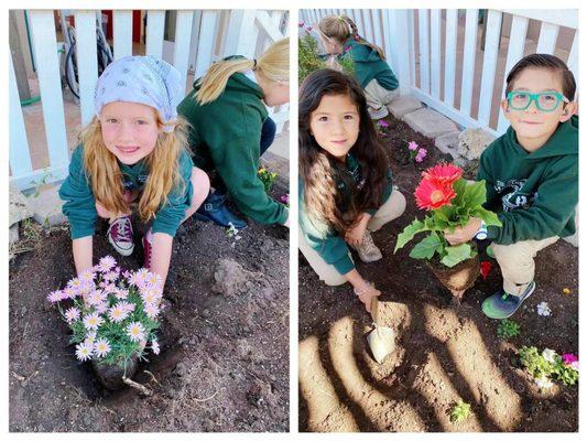 Our students plant their favorite plants during the spring planting activity, experiencing the joy of hands-on work and gaining knowledge.