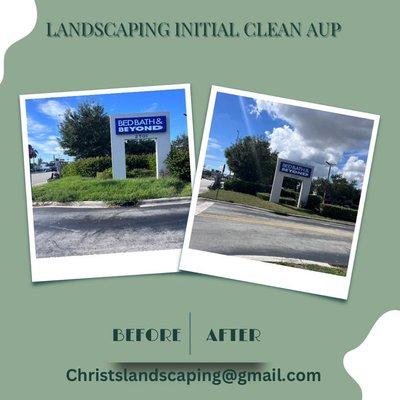 Landscaping Initial Clean Up