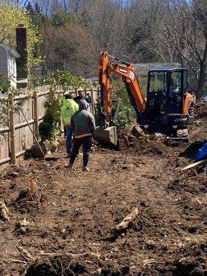 Stump removal and planting