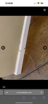 Dirty baseboards. Basic cleaning not done