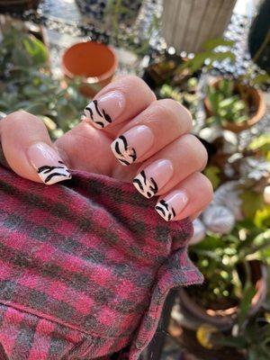 French gel manicure with zebra pattern. No tips.