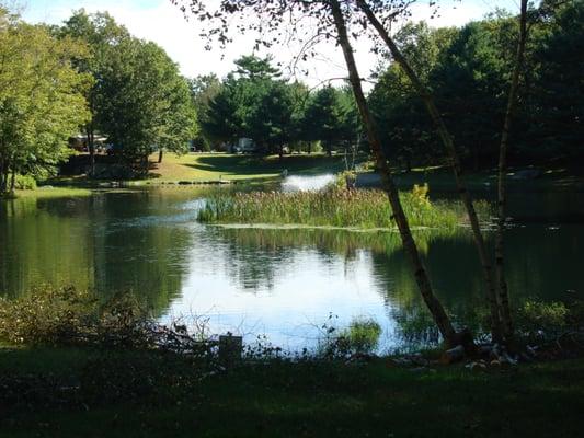 A view of the swimming pond from the other side of the beach