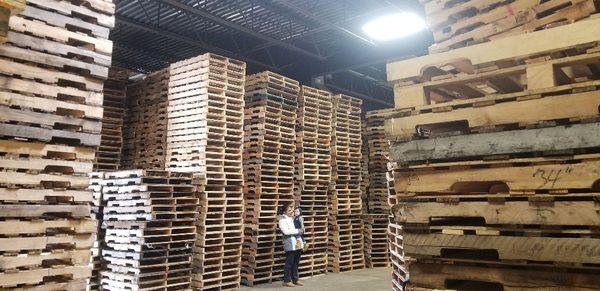 1,000s of pallets in stock