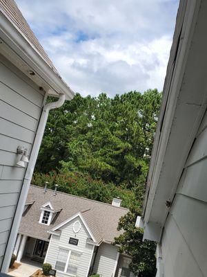 The 3 wasp nests right outside the stair cases.