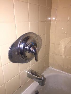 Moen Single Handle Faucet replacement in Audubon, N.J.