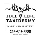 Idle Life Taxidermy