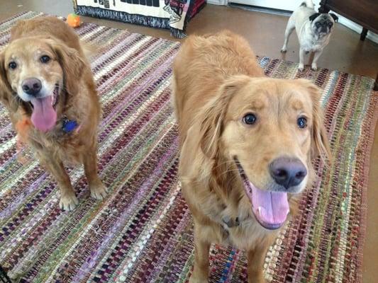 Brother and sister Suzy and Roger here for a visit.