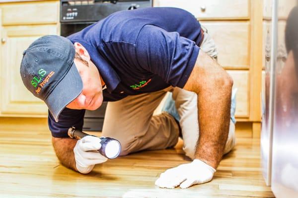 We carefully inspect your home to see where pests are entering and making their home. That allows us to better eliminate them.