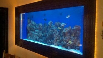 Custom salt water fish tank, tank in heated garage, Framing in dining room. great project!