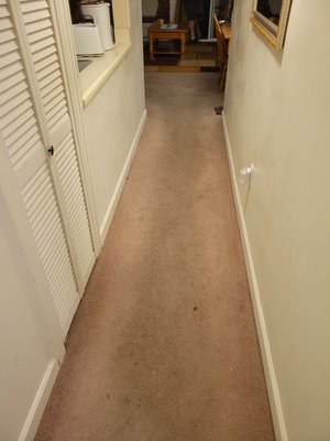 The entry way towards the living room.  Nasty, dirty & stained up carpet!!  Had to wear slippers & they turned black on the bottom!!