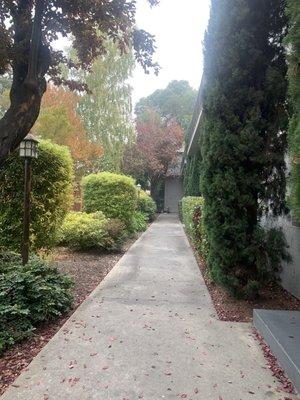 Landscaping outside our apartment