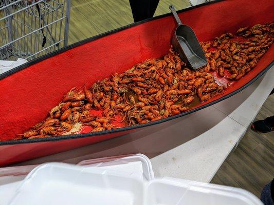 Crawfish