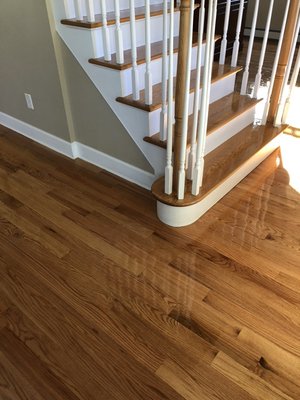 Sanded and refinished living room and dining room in Seaford.