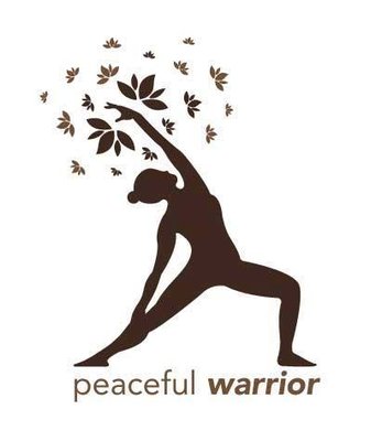 Peaceful Warrior Yoga Studio is located at 120 Kisco Ave in Mt. Kisco, NY.  Big parking lot and easy access to a group of amazing Yoga pros.