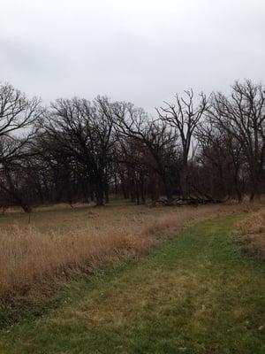 Small loop trail.