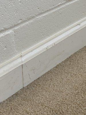 Baseboards NOT cleaned