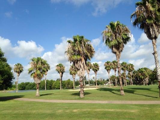 The golf course at rancho viejo. The same place the golf pros do not return phone calls.