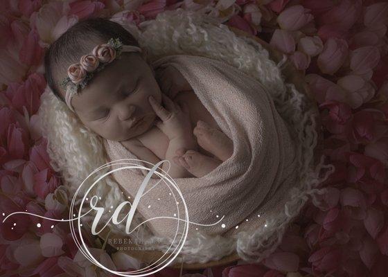 Newborn Photography