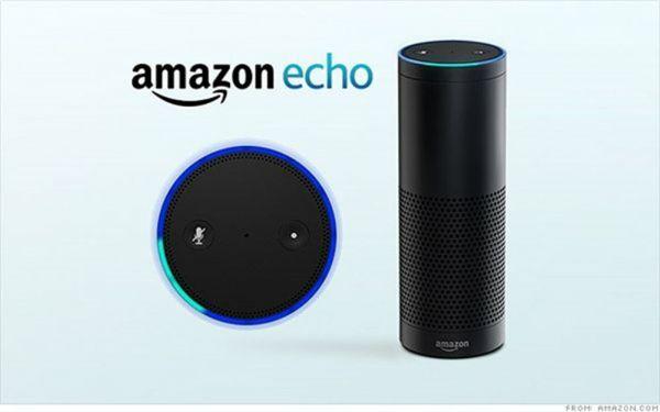 Control your system with your voice. The amazon Echo works with the ADT command