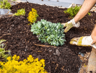 We specialize in new hardscape and landscape installations in the Phoenix Metro Area but can handle all landscaping irrigation and masonry!