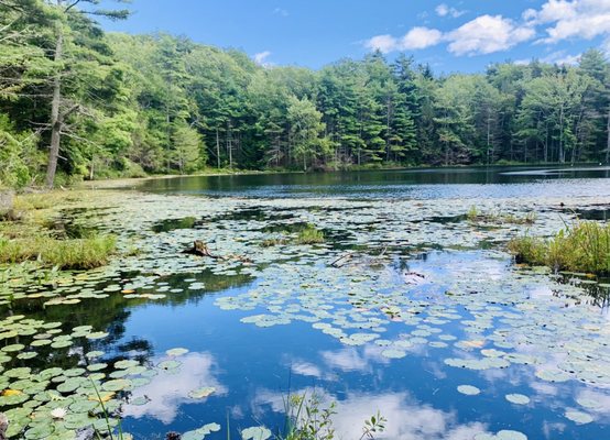 Sprague pond