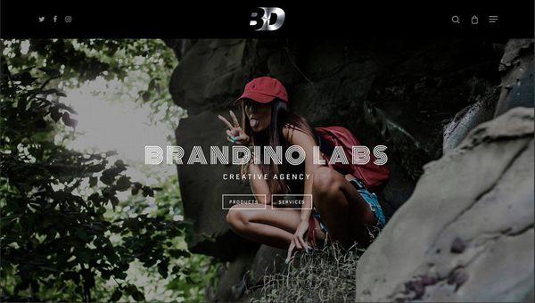 Brandino labs creative agency portfolio site