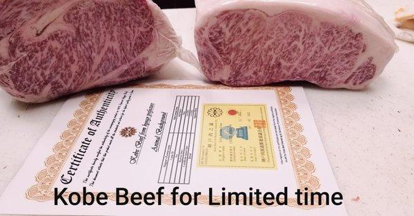 Certified A5 Japanese Kobe Beef