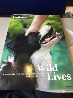 Southwest The Magazine