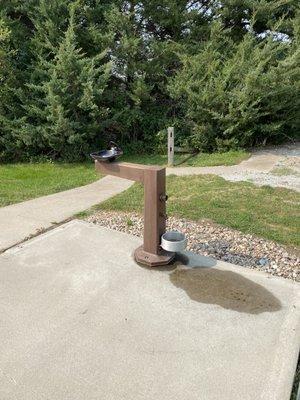 Doggy drinking fountain.