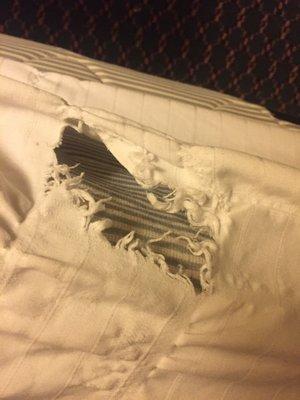 Torn base sheet on my bed.