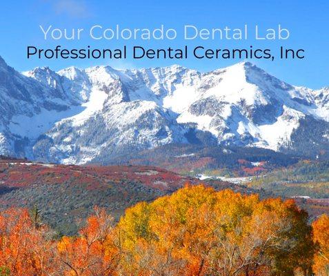 Professional Dental Ceramics