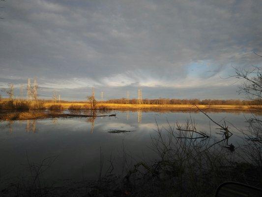 Marsh Lands