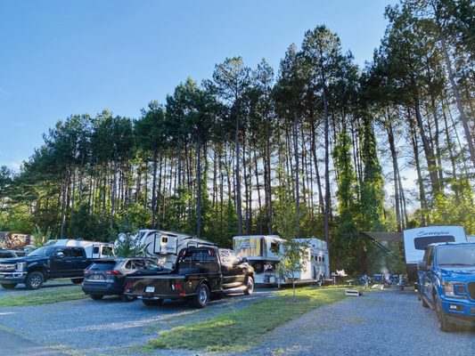 Yogi Bear's Jellystone Park