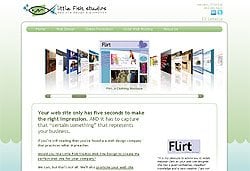 Little Fish Studios Web Design Portfolio