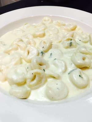 Cheesy tortellini in a creamy Alfredo sauce- it definitely hit the spot!