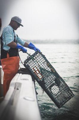 Lobster charters available.  Keep the lobsters you catch!