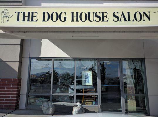 The dog house