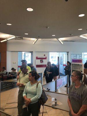 One teller with 15 people in line