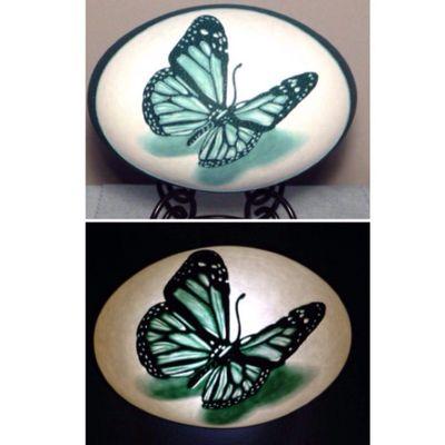 Realistic butterfly carved on Emu Egg. Bottom pic shows with light.