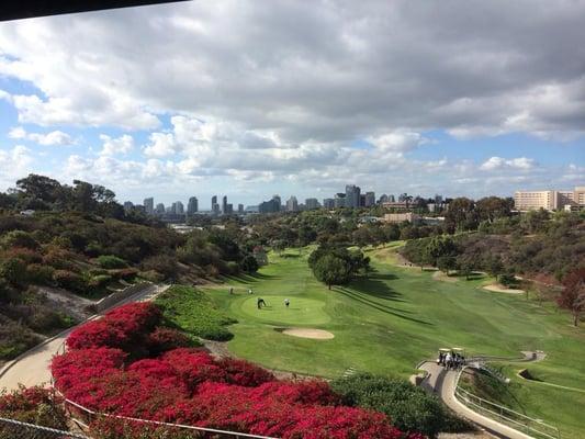 View of the San Diego skyline from Balboa Golf Course